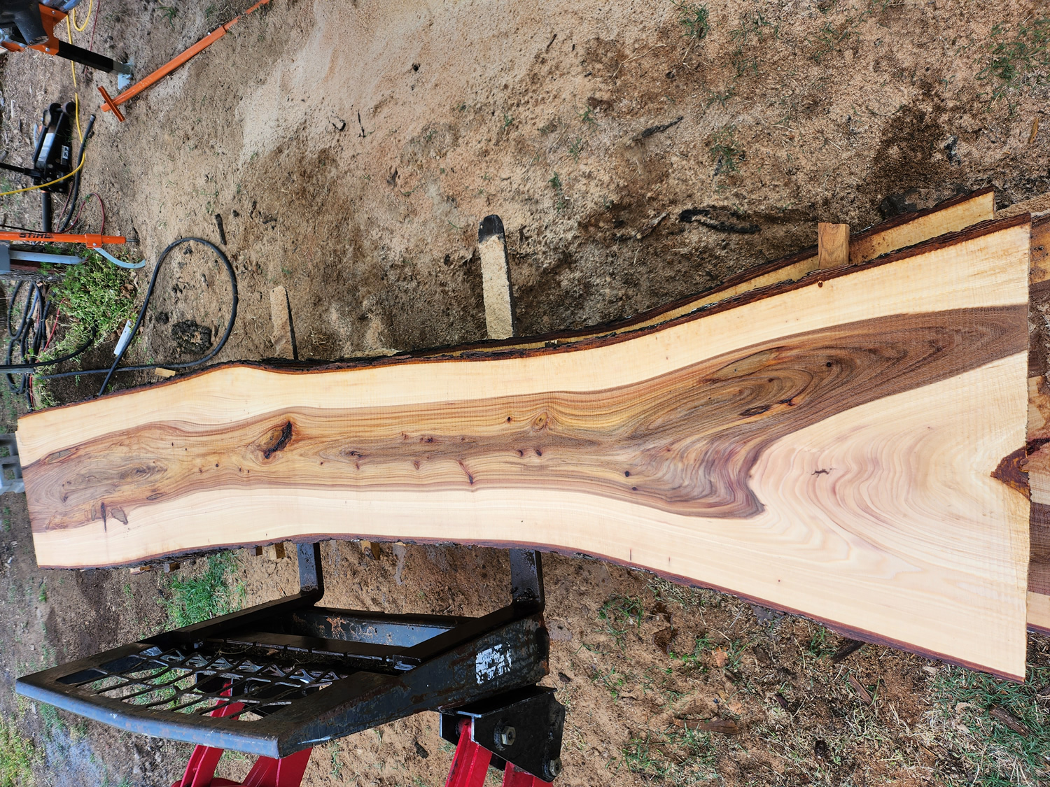 Elm - Live Edge - Image 3