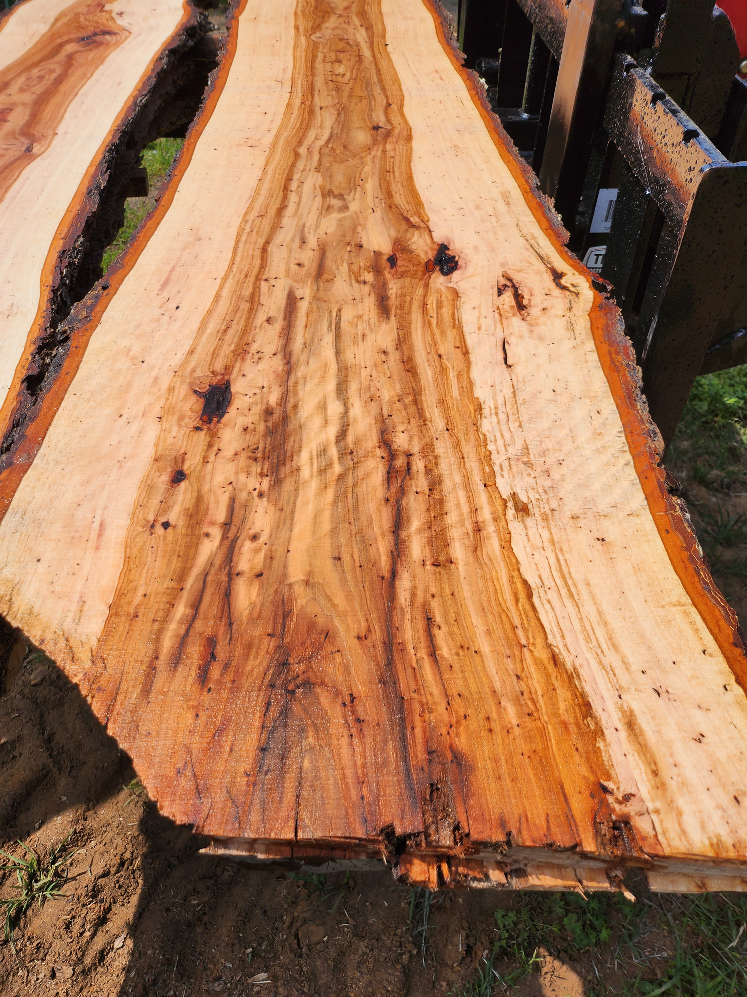 Pecan Live-Edge Slab - Image 4