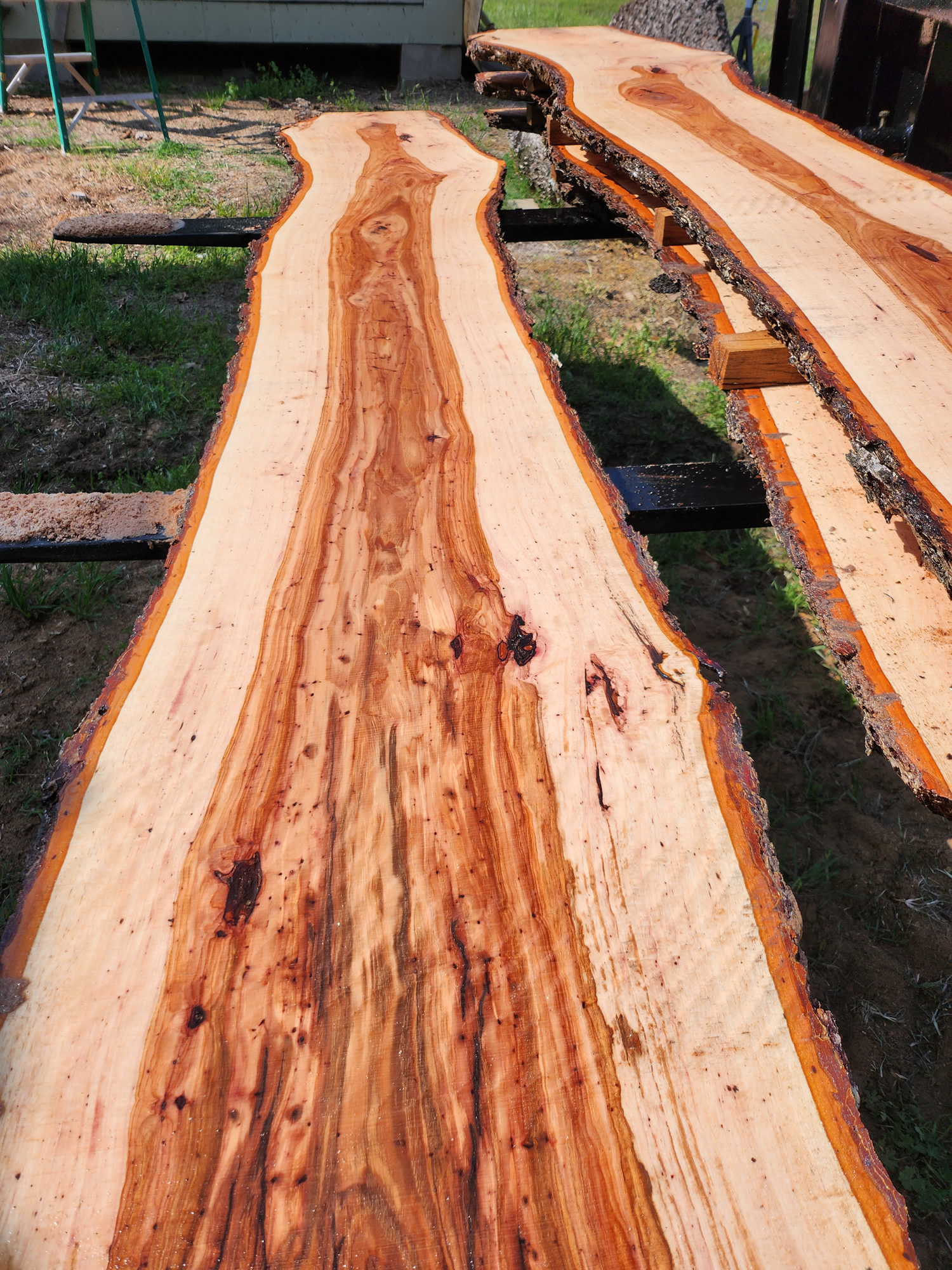 Pecan Live-Edge Slab - Image 2