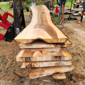 Elm - Live Edge