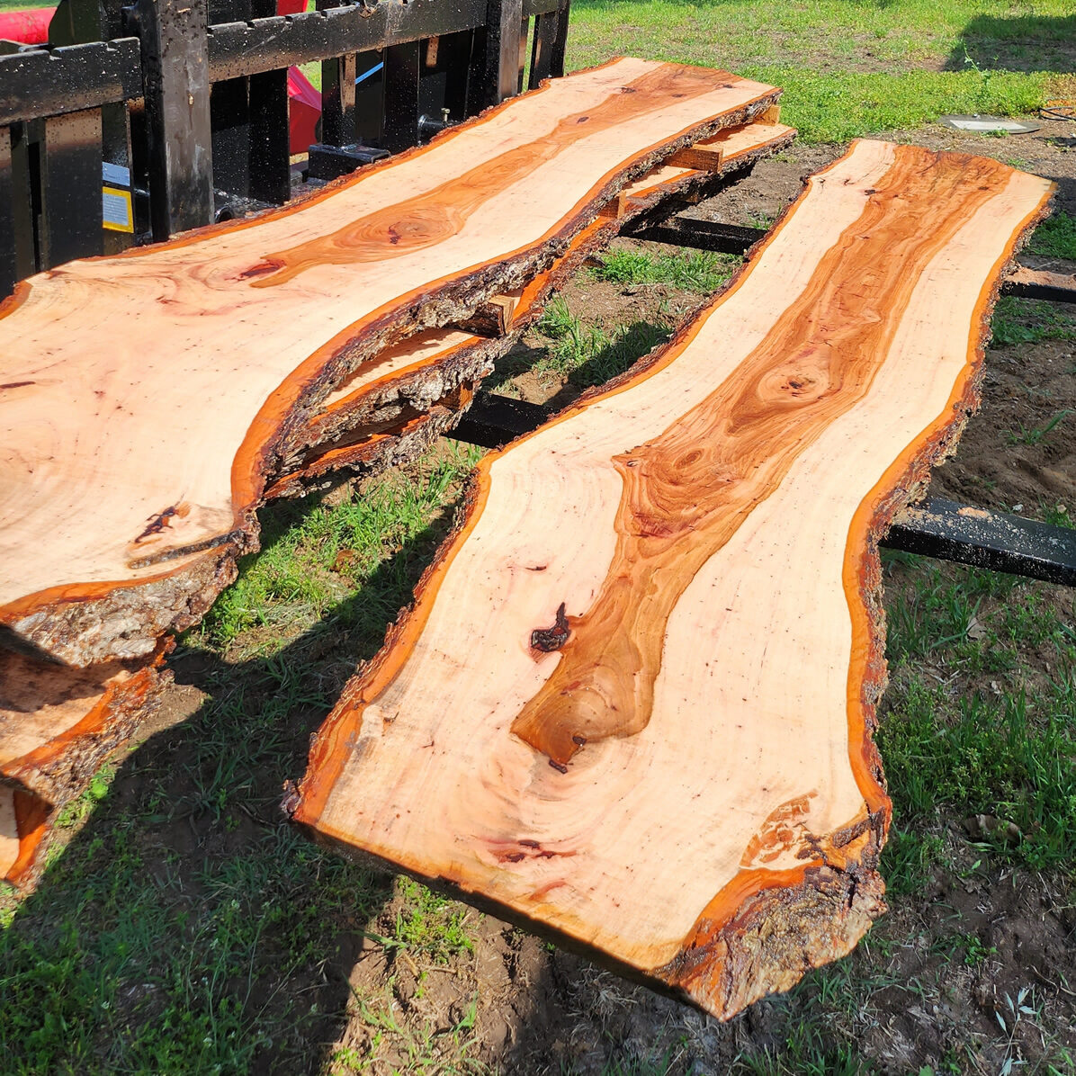 Pecan Live Edge Slabs