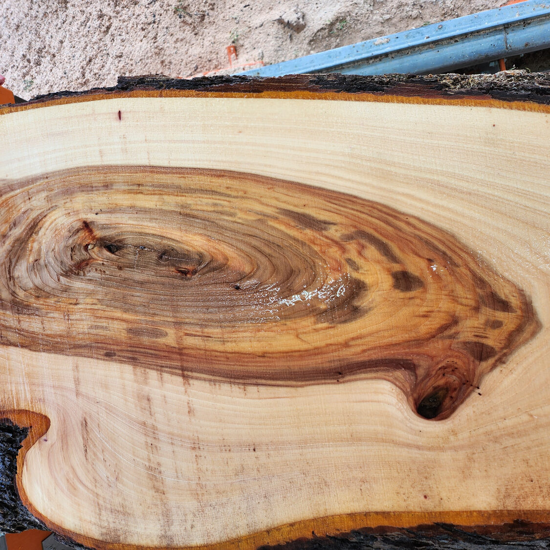 live-edge-slab-elm-01