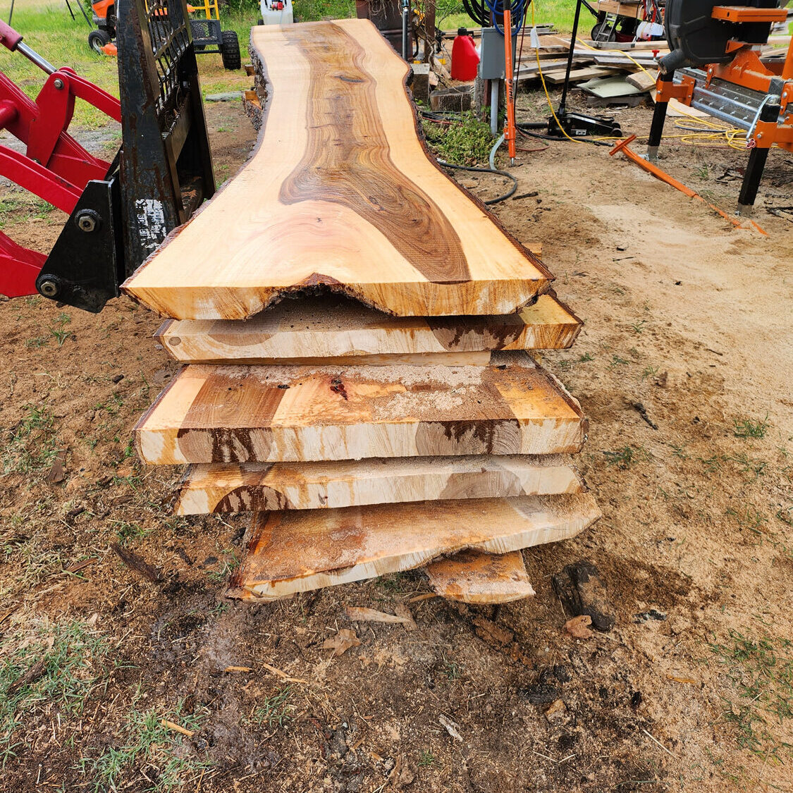 live-edge-slab-elm-08