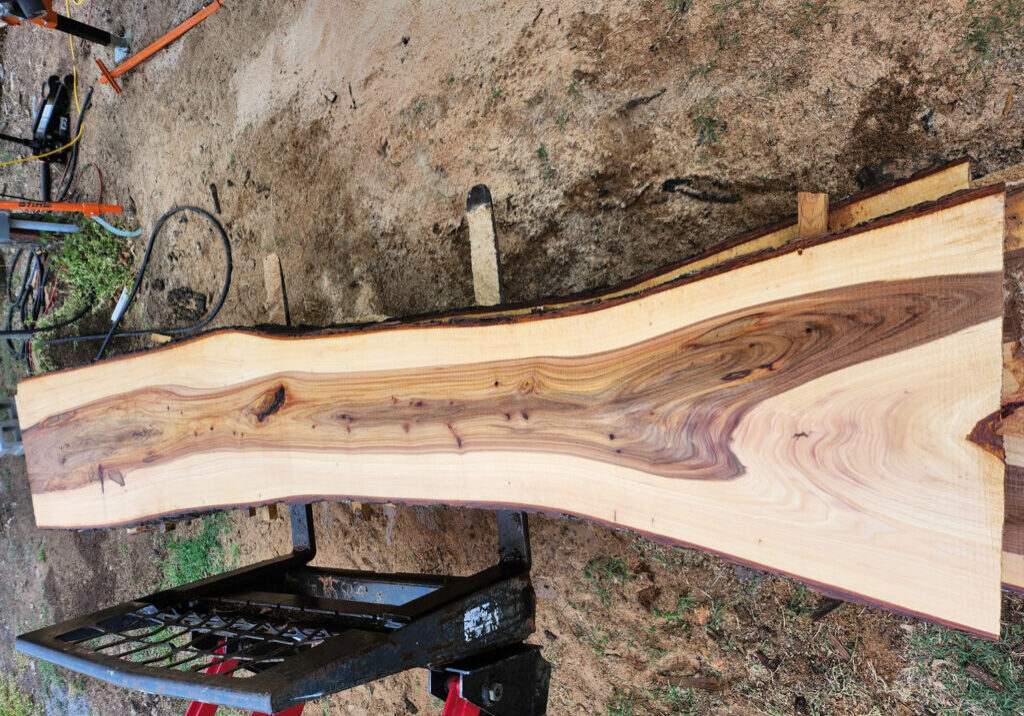 live-edge-slab-elm-horizontal