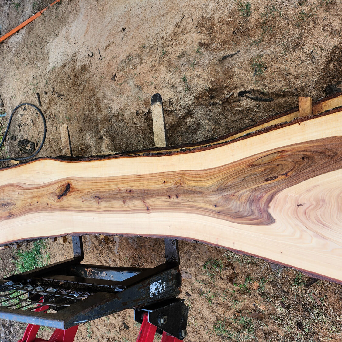 live-edge-slab-elm-horizontal