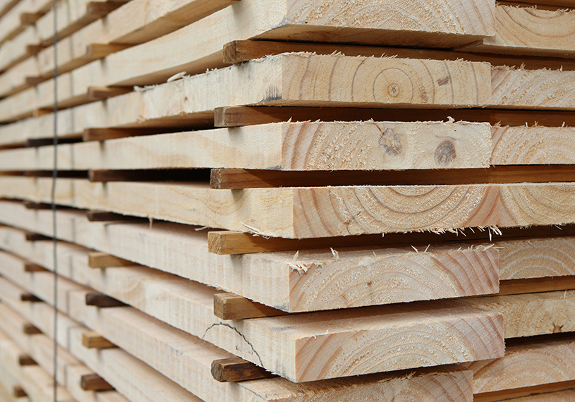 shutterstock_1535339708(2)