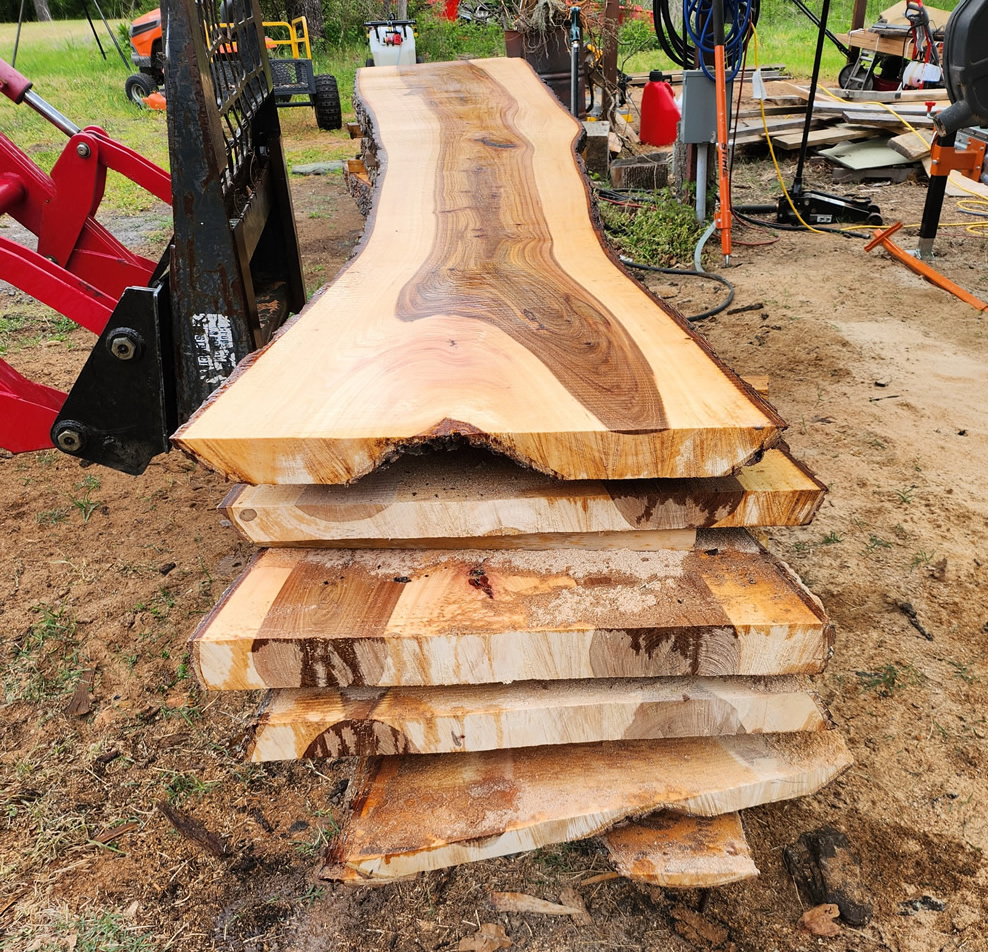 Elm Live Edge Slabs