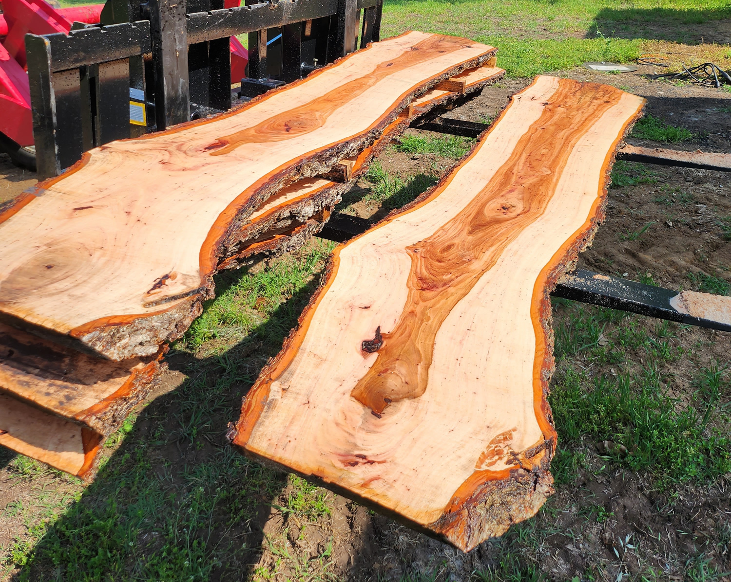 Pecan Live Edge Slabs